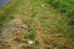 IMG_20190618_144805