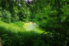 IMG_20190618_145248
