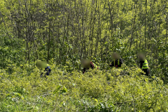 IMG_8012